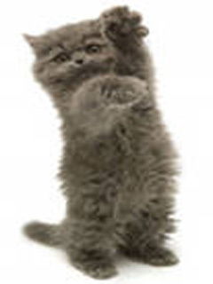 Милашка Запорожье