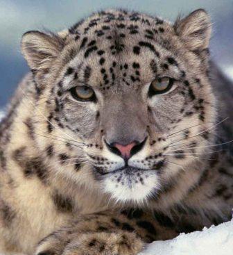 Айтпай Ахметов