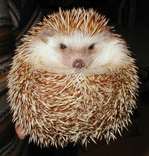 Сергей Матюшин