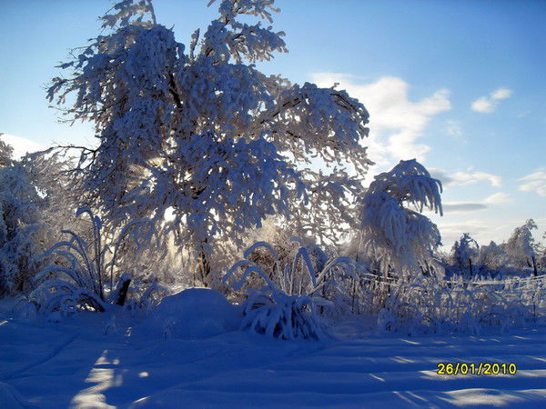 Валентина Курносова