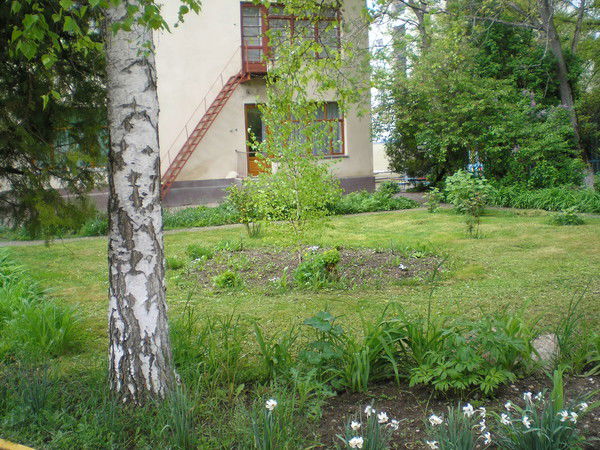 Гаянэ Ароян