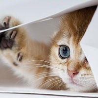 Марина Данилёнок