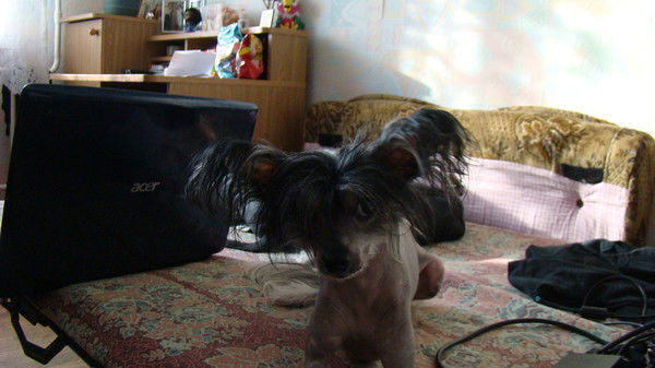 Ната Ластовецкая