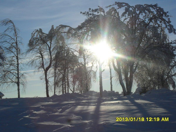 Маргарита Аликина