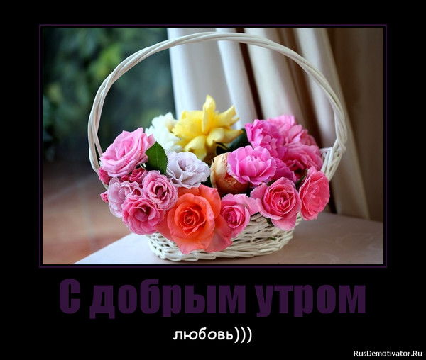 Наталья Горовая