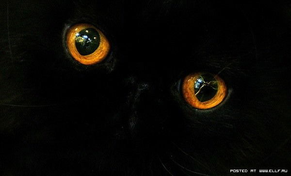 **kristin@** Клемешева