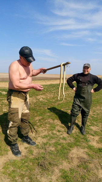 Валерий Кучеров