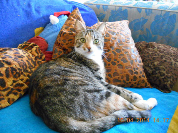 Ксюша Teryokhina