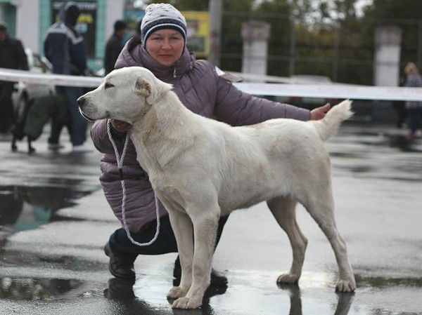 Ольга Кретинина