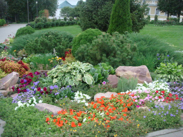 Ирина Колыбанова