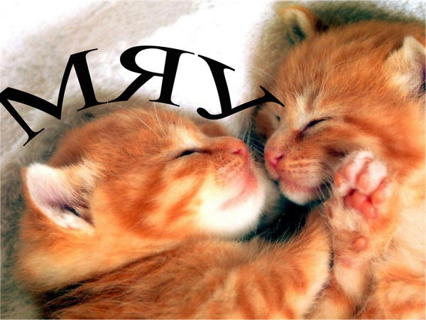 Марина Толоконникова