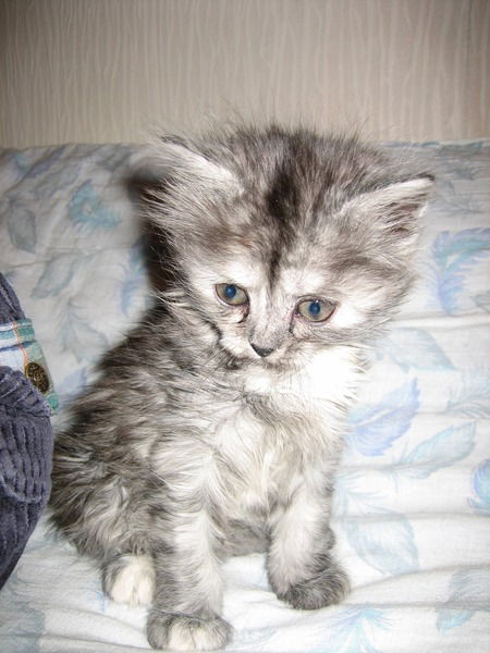 Катерина Эминова