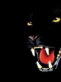 Елена Захарова