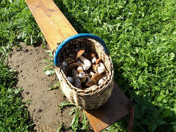 Олег Родюков