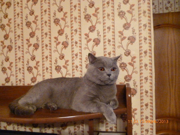 Наталья Лагутина