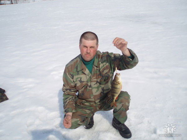 Сергей Козлов