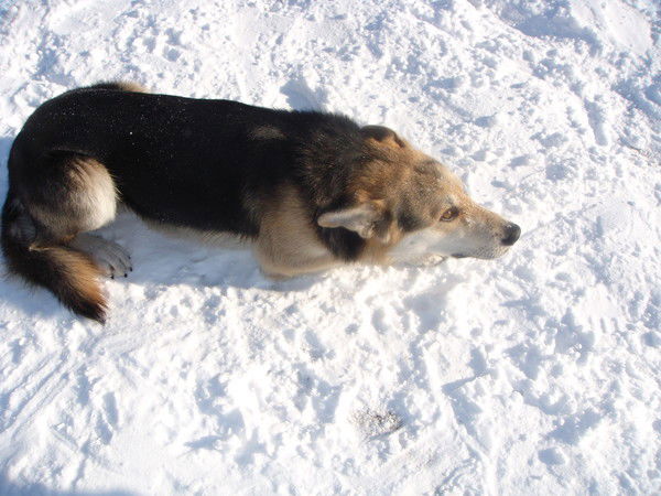 Ваш Константин