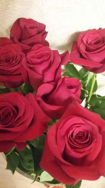 Жакенова Асем