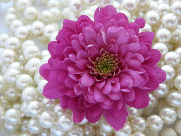 Дарига Нуржанова