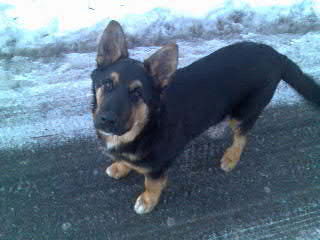 Ольчик Крутиянова