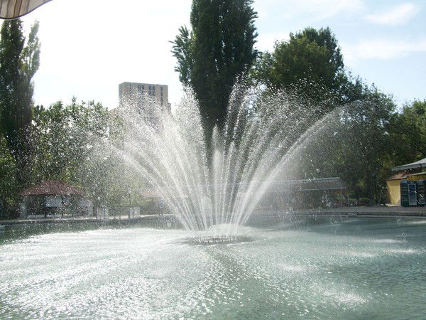 Карина Карслян