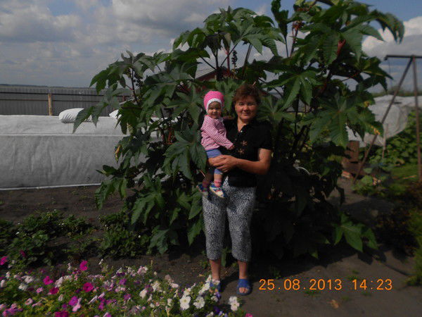 Надежда Зырянова