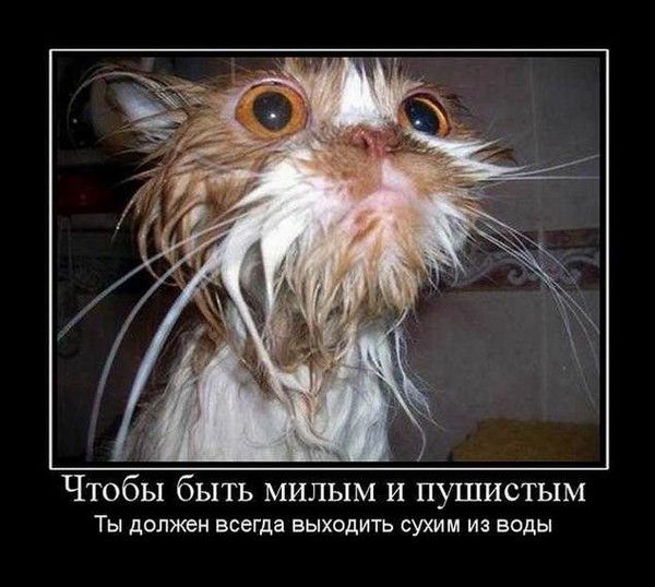 Гуля Стрелкова