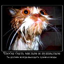 Гуля Стрелкова
