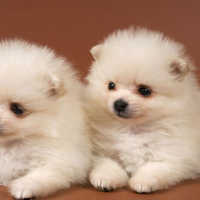 Катерина Иванова