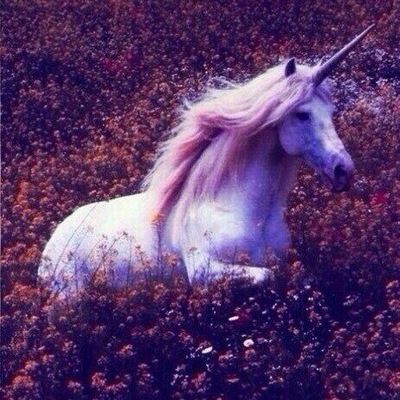 Анастасия Сереброва