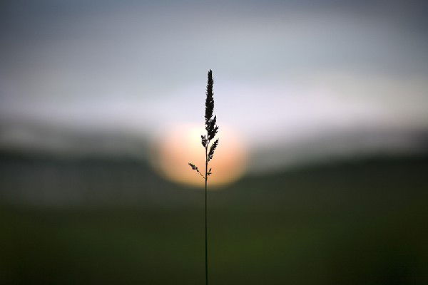 Марина Перунова