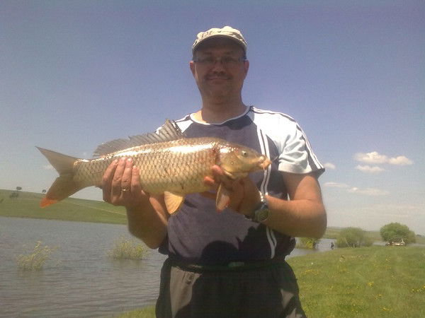 Роман Двойников