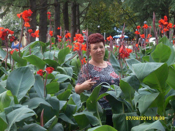 Наталья Толкачёва