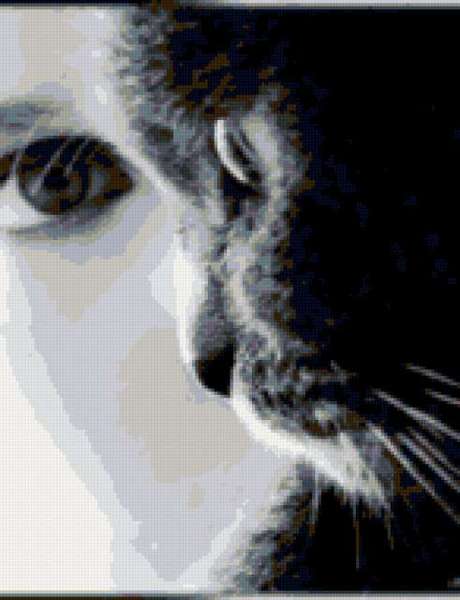 Галина Ризова