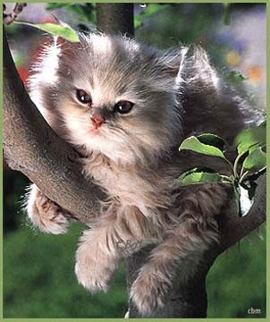 Сергей Чистяков