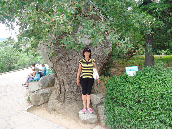 Лариса Палишева