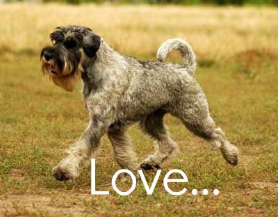 Ангелина Хмара