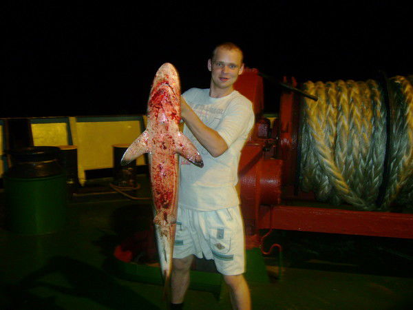 Алексей Бондарев