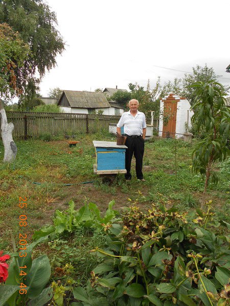 Алексей Елисеев