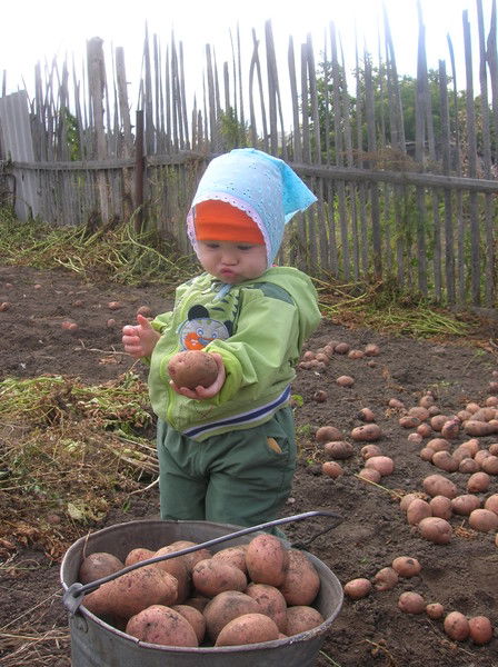 Екатерина Константинова