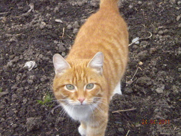 Гульфия Опарина