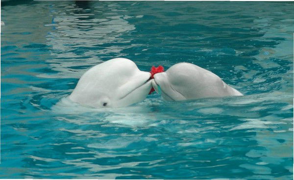 Наталья Вострецова