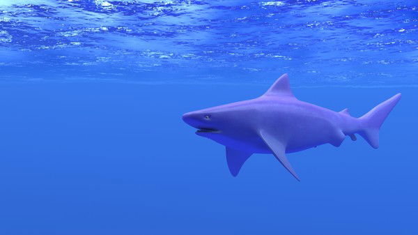 Евгений Дорошенко