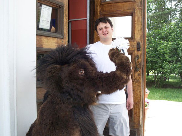 Иван Алыпов