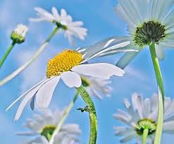 Людмила Малинина