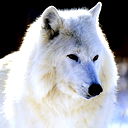 Muhammad Nazhmudinov