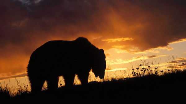 Мамай Курганский