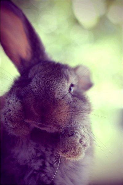 Оксана Бугаенко