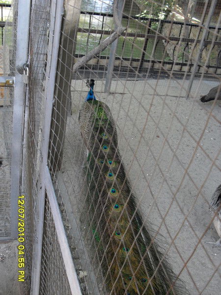 Гаухар Ташматова