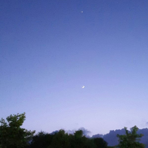 Венера Кажгалиева (Уразгалиева)